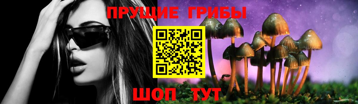 Псилоцибиновые грибы прущие грибы  Вход с VPN  Новокузнецк 